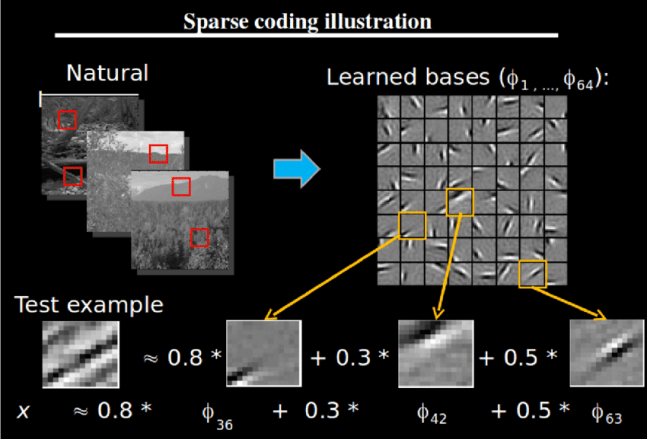 figure-4-sparse-coding-illustration